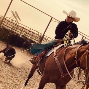 Meet your Posher, Grayson